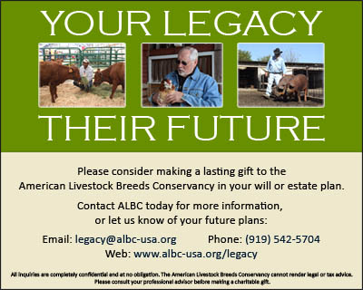 Legacy Giving